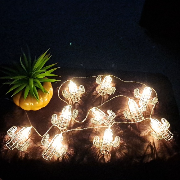 Cactus String of Lights & Faux Succulent - Picture 2 of 10